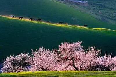 万州哪个風水先生看老宅風水算命最准