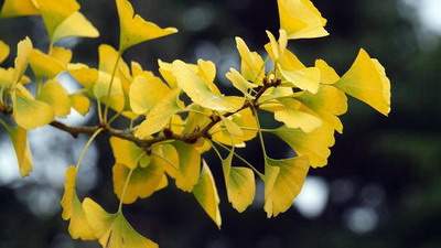 黔江哪个易学風水大師看高层住房風水