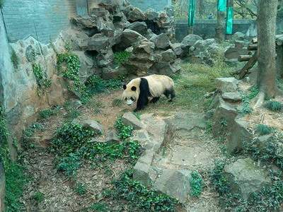 万州哪个風水玄学大師看饭馆風水