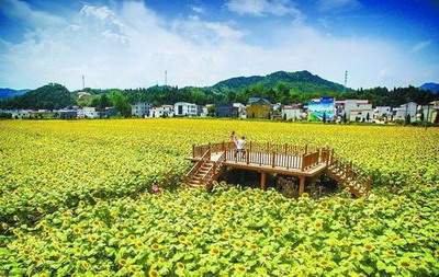 南川哪个風水师傅看培训学校風水口碑好