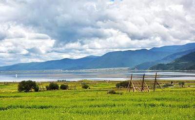 长寿看办公室座位風水哪个風水大師預測得准