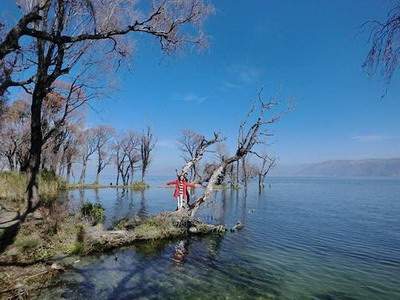 綦江哪个易学风水师看祖坟风水厉害