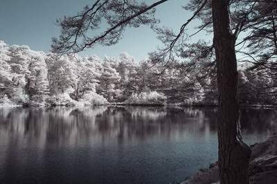 綦江哪个風水师傅看建筑風水好