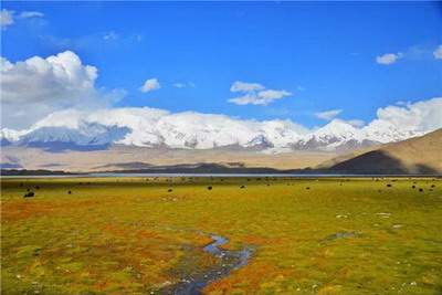 綦江看高层住房風水哪个易经風水大師更出名