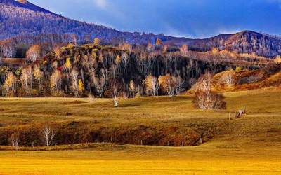 南岸看建筑風水哪个易经風水大師更出名