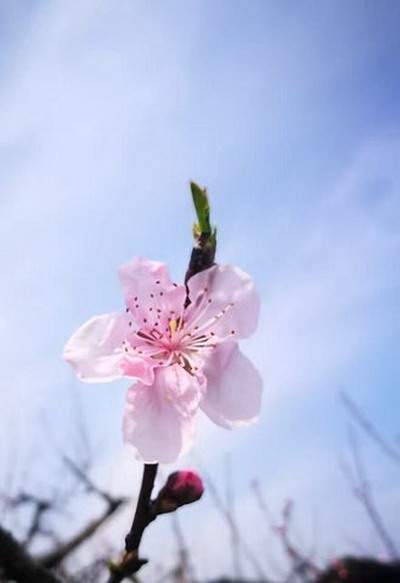 大渡口看装修风水哪个风水专家最有名