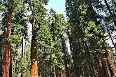 渝北哪个風水师看高层住房風水有名气