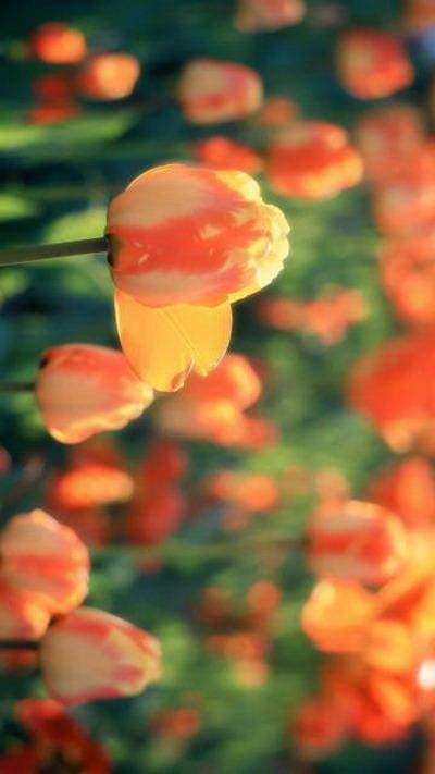 渝中風水老师哪个預測厉害