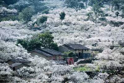 内江算命大师算建筑风水怎样收费