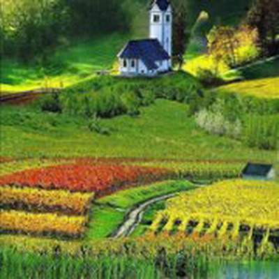 巴南哪个風水看咖啡厅風水口碑要好些