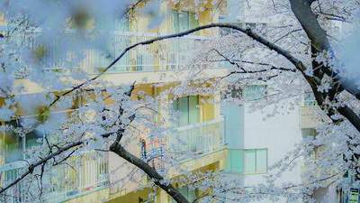 渝中看别墅風水哪个