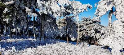 九龙坡哪个風水玄学大師看家宅風水