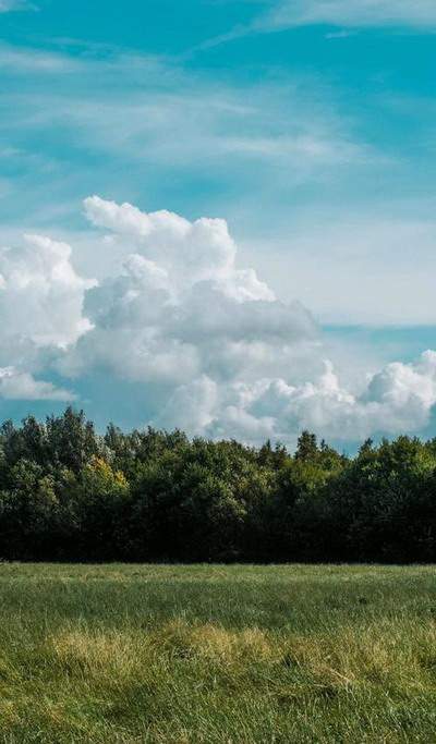 沙坪坝哪个風水堪舆大師看工厂風水厉害