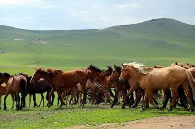广元找人看事业風水咋收费