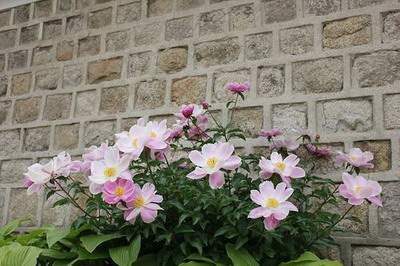 大渡口哪个風水师看培训中心風水厉害