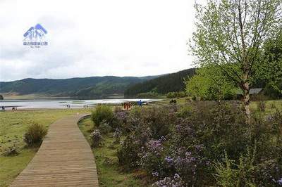 九龙坡哪个命理風水师看早餐店風水更有名