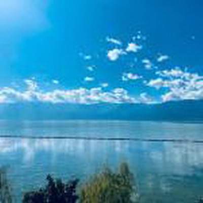 成都找風水先生看手相面相一般怎么收费