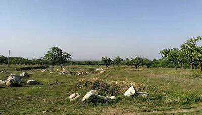 南岸哪个风水大师看室内装修风水预测厉害