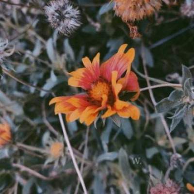 沙坪坝哪个風水改运大師看卧室風水最有名