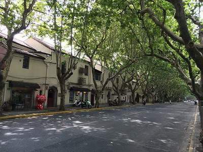 南岸哪个風水玄学大師看汽车4S店風水看得准些