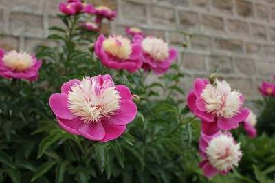 南岸看汽车4S店風水哪个堪舆大師最厉害