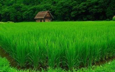 九龙坡哪个風水命理大師看住宅風水看得更准