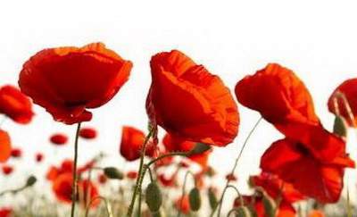 江北哪个易经風水大師看餐厅風水口碑