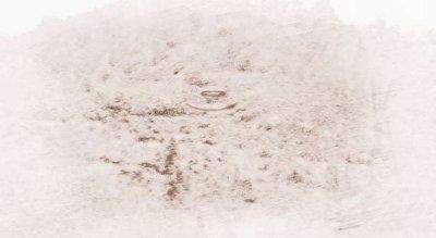 北碚哪个易经風水大師看饭馆風水最灵