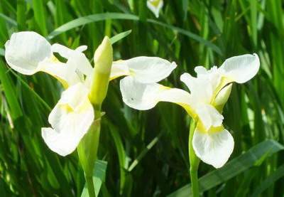 北碚看洋房風水哪个周易風水师更出名