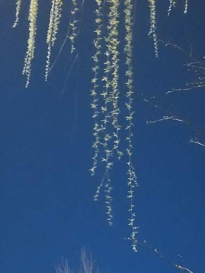 北碚哪个風水堪舆大師看火锅店風水更厉害