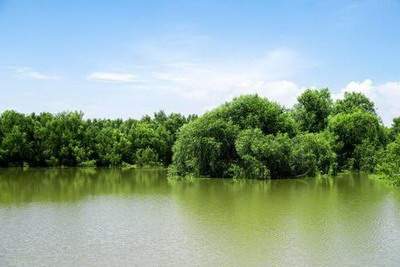 江北哪个易学风水大师看西餐厅风水看得好