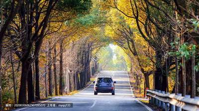 大渡口看办公室座位風水哪个風水先生更厉害