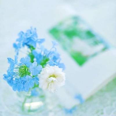 玄关三见三不见風水[陈叁悟]