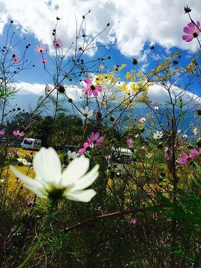 邓家乡请风水大师看命理预测如何收费《乾缘堂》