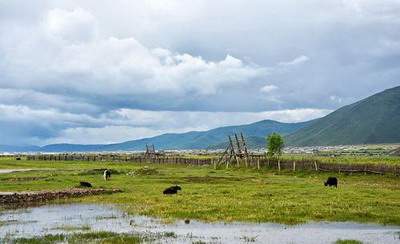 荣昌区铜鼓镇请风水师看五行喜忌收费价格