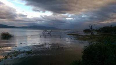 沙坪坝看中餐厅風水哪个風水更有名气