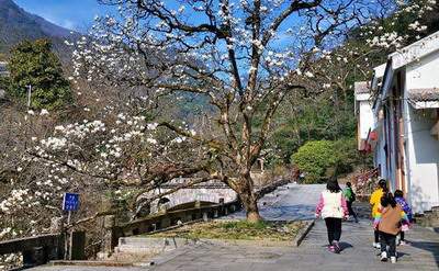 渝北哪个易学風水大師看中餐厅風水好