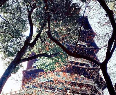 忠县三汇镇请算命大师看八宅风水策划收费