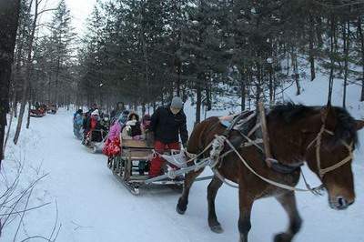 南岸看楼层风水哪个风水命理大师较好