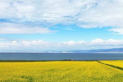 武隆区大洞河乡算命大师算装修设计风水收费多少钱