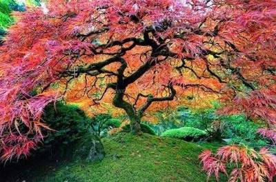 2017年农历八月十五是什么日子？中秋节？