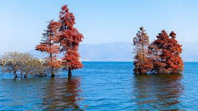 2026年农历三月十七有什么宜忌? 2026年农历三月十七有什么宜忌?