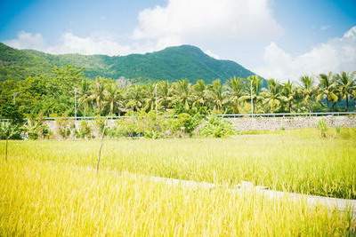 渝中哪个易学風水师看火锅店風水最灵