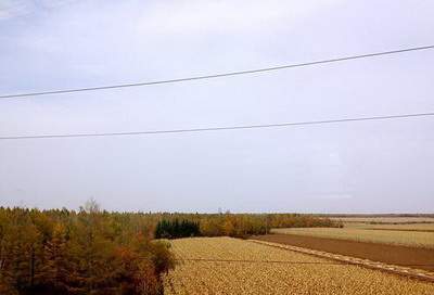 花园路请風水大師算装修風水费用《重庆乾缘堂》
