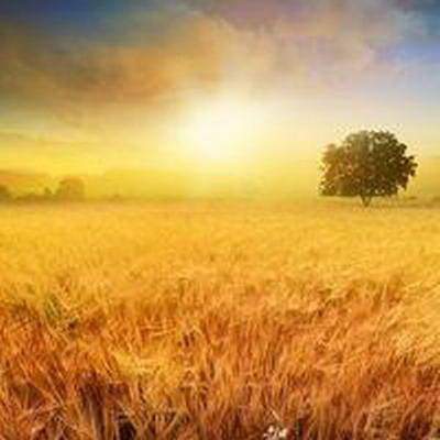 南腰界乡请风水老师算杨公风水怎么收费【乾缘堂穆六垚风水老师】