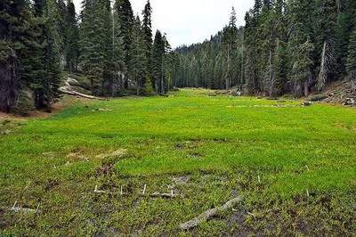 江北哪个风水调理老师看汽车4S店风水看得准