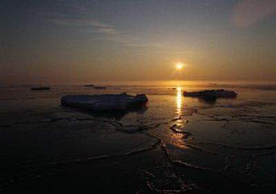 辛卯日出生的人命运好不好？