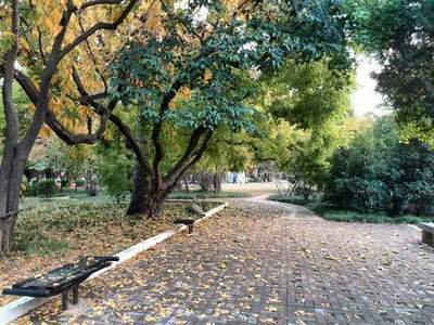 北碚看宅基地风水哪个易学风水师看得好
