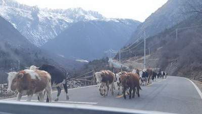 公平镇风水专家看住宅风水价格标准【乾缘堂】