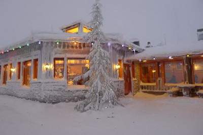 金命虎是什么意思？金命虎适合养什么花好？